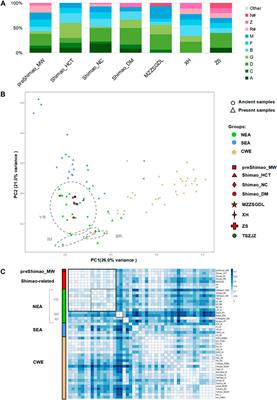 Ancient Mitogenomes Reveal the Origins and Genetic Structure of the Neolithic Shimao Population in Northern China